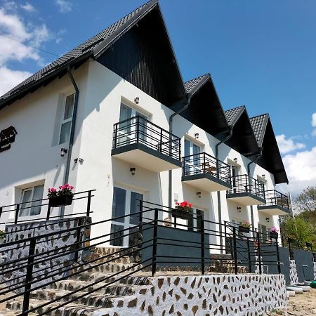 Conacul Doamnei Nucsoara Hotel Kültér fotó