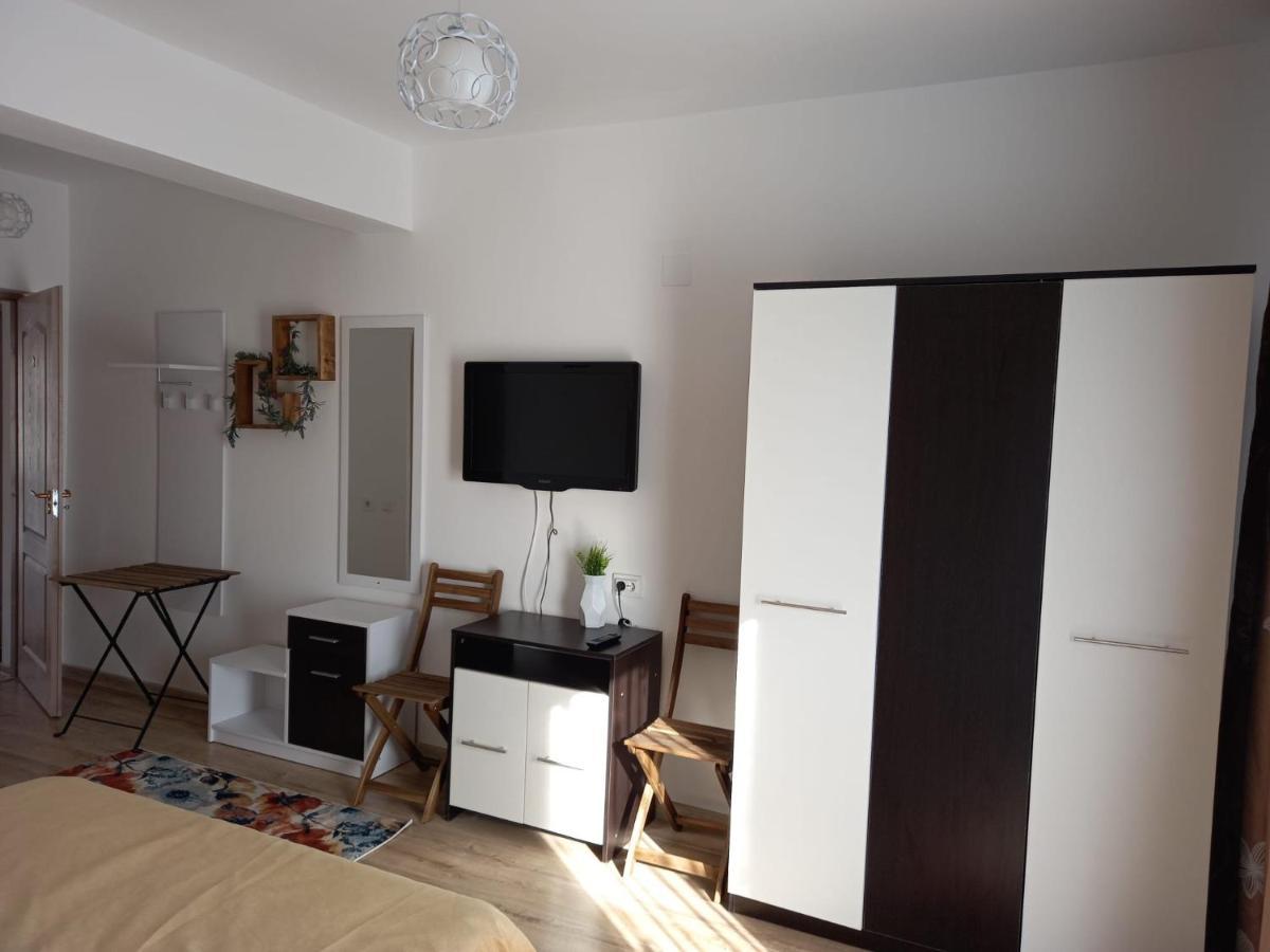 Conacul Doamnei Nucsoara Hotel Kültér fotó