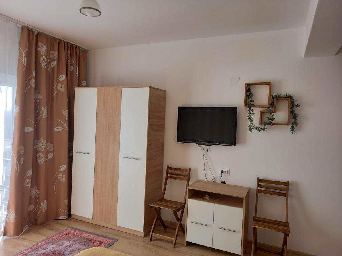 Conacul Doamnei Nucsoara Hotel Kültér fotó
