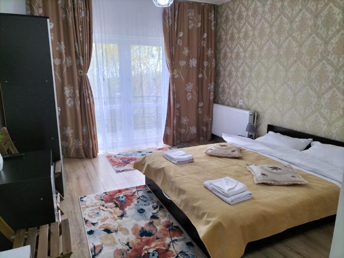 Conacul Doamnei Nucsoara Hotel Kültér fotó