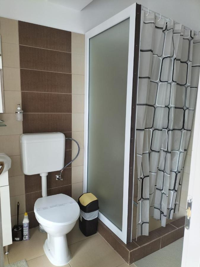 Conacul Doamnei Nucsoara Hotel Kültér fotó