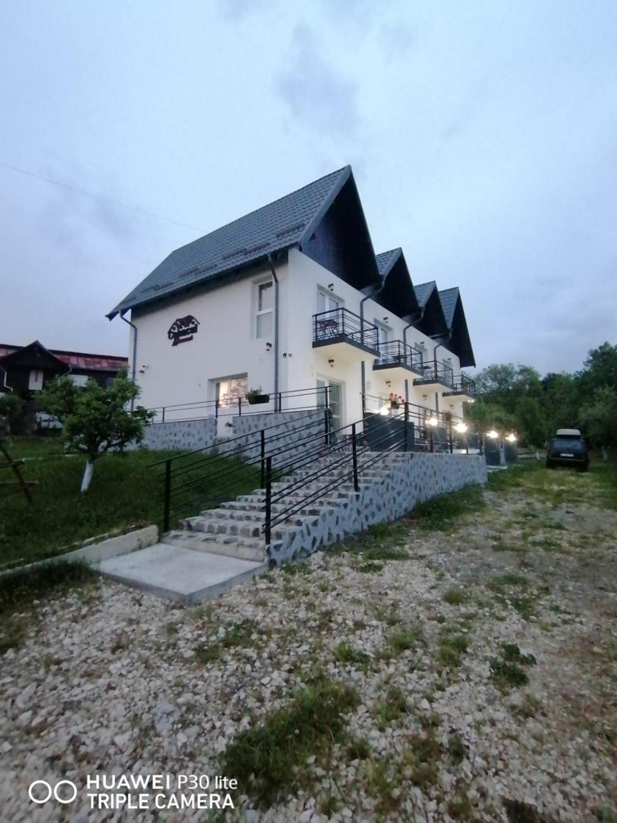 Conacul Doamnei Nucsoara Hotel Kültér fotó