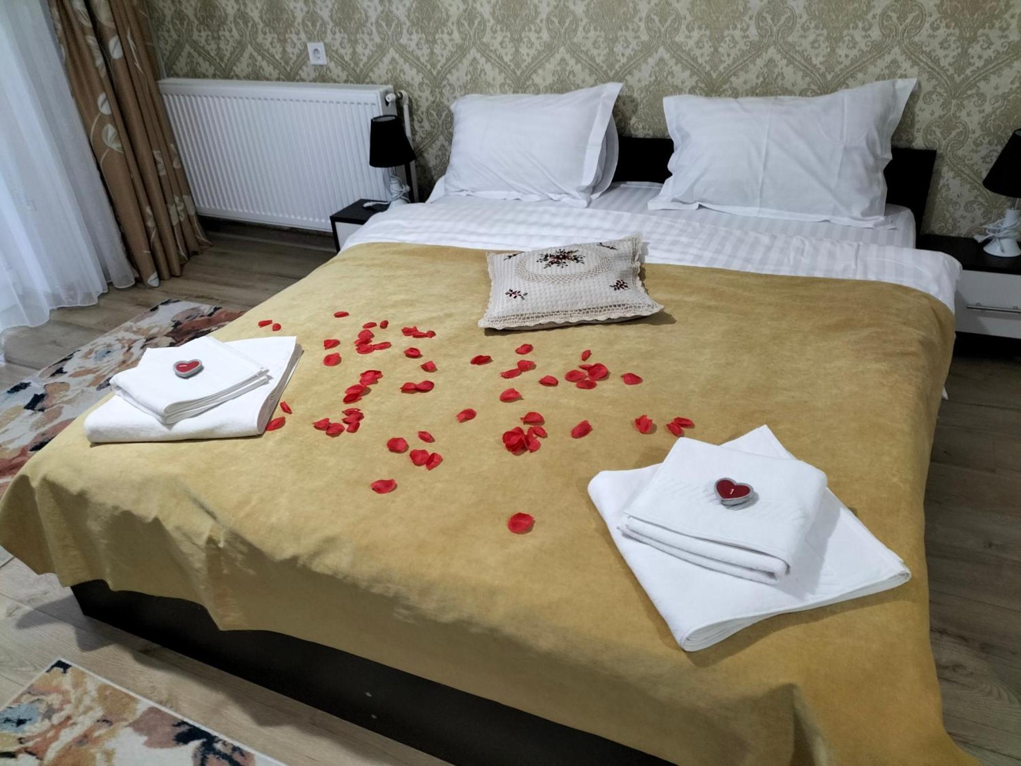 Conacul Doamnei Nucsoara Hotel Kültér fotó