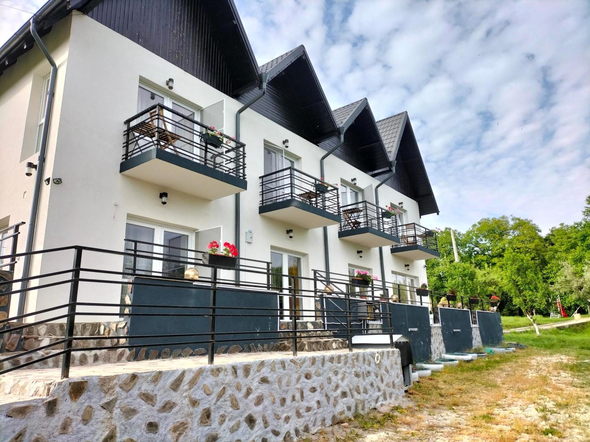 Conacul Doamnei Nucsoara Hotel Kültér fotó